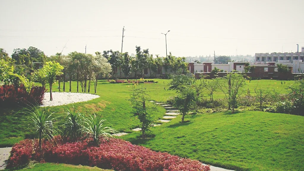 Established planting reaching canopy closure