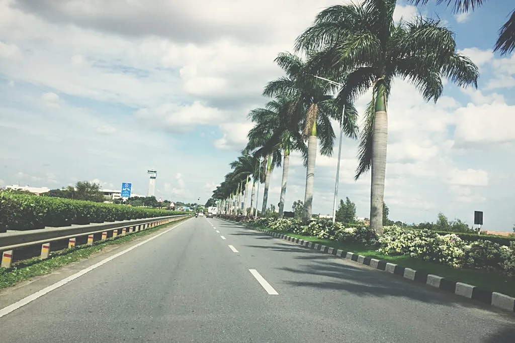 Palm avenue along the Bangalore International Airport approach corridor