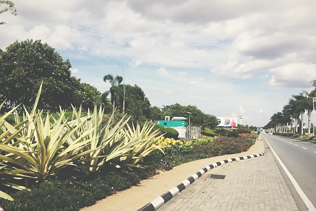 Agave and shrub verge planting along a campus road