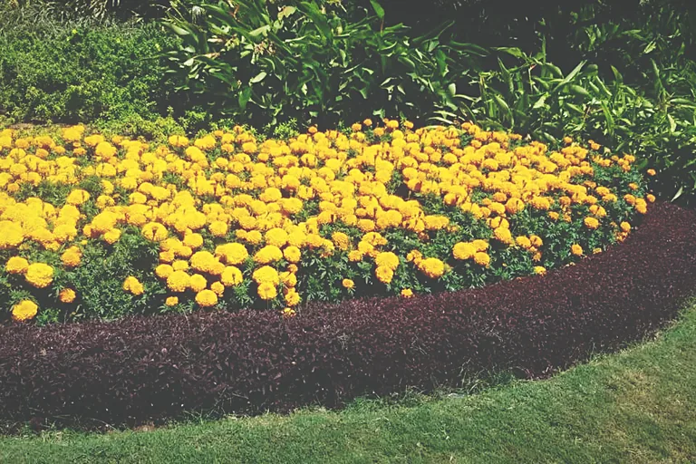 Seasonal bedding in mass
