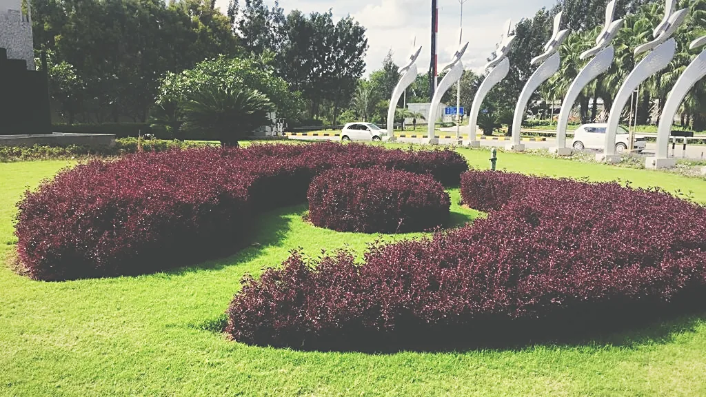 Formal parterre planting