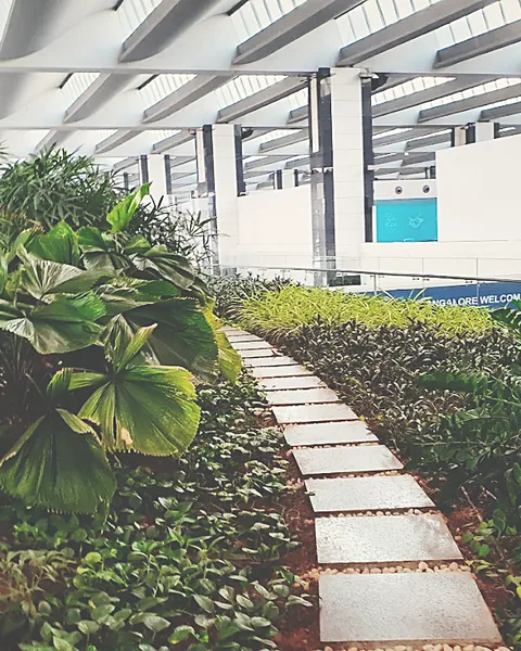Path-edge planting detail