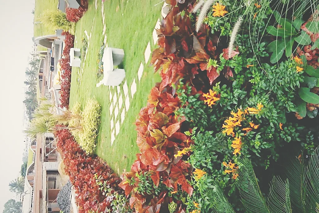 Terrace planting in a lightweight medium